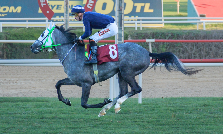 Hopdedik, Necip Fazıl Kısakürek Koşusunda Birinci Oldu Hopdedik, Necip Fazıl Kısakürek Koşusunda Birinci Oldu